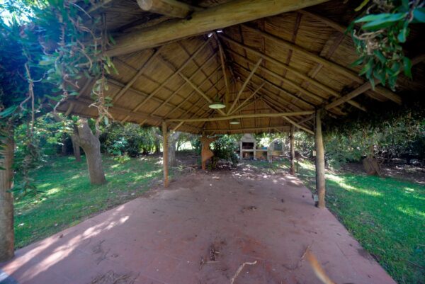 pilar del este - Image 10