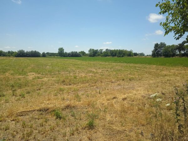 venta campo general Rodriguez , Buenos Aires