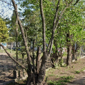 ideal terreno en pontevedra , Buenos Aires