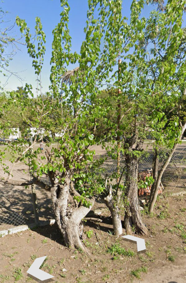 Terreno en la calle Berisso 1462  Pontevedra , Buenos Aires