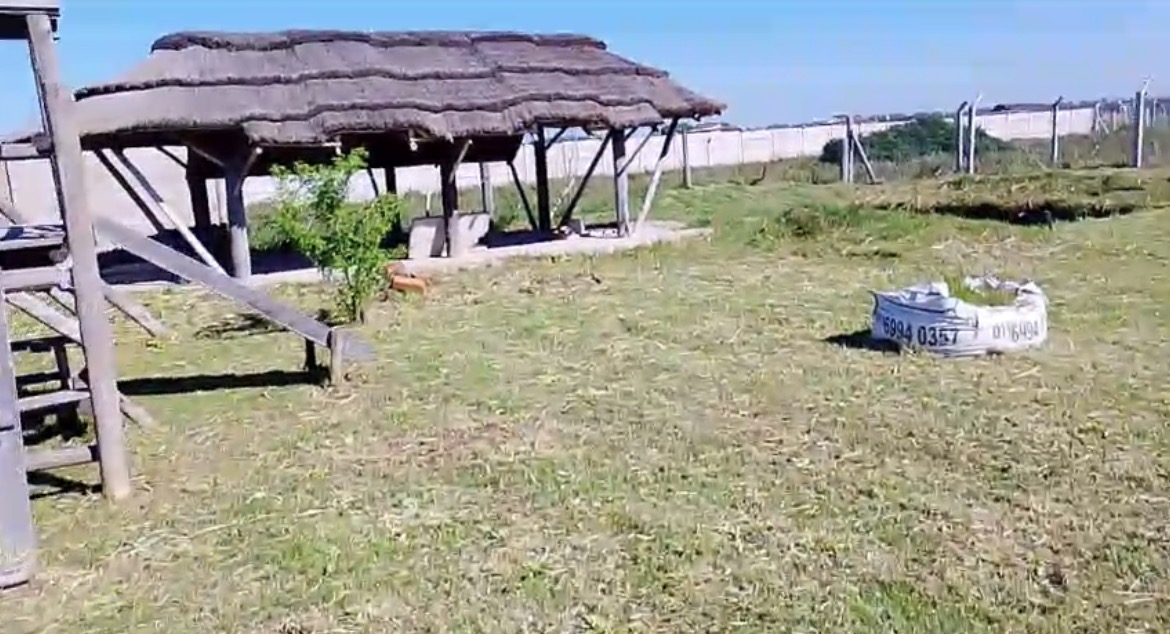 B1716 general Rodriguez , Buenos Aires - Image 5