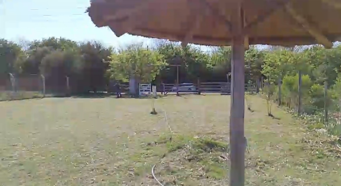 B1716 general Rodriguez , Buenos Aires - Image 6