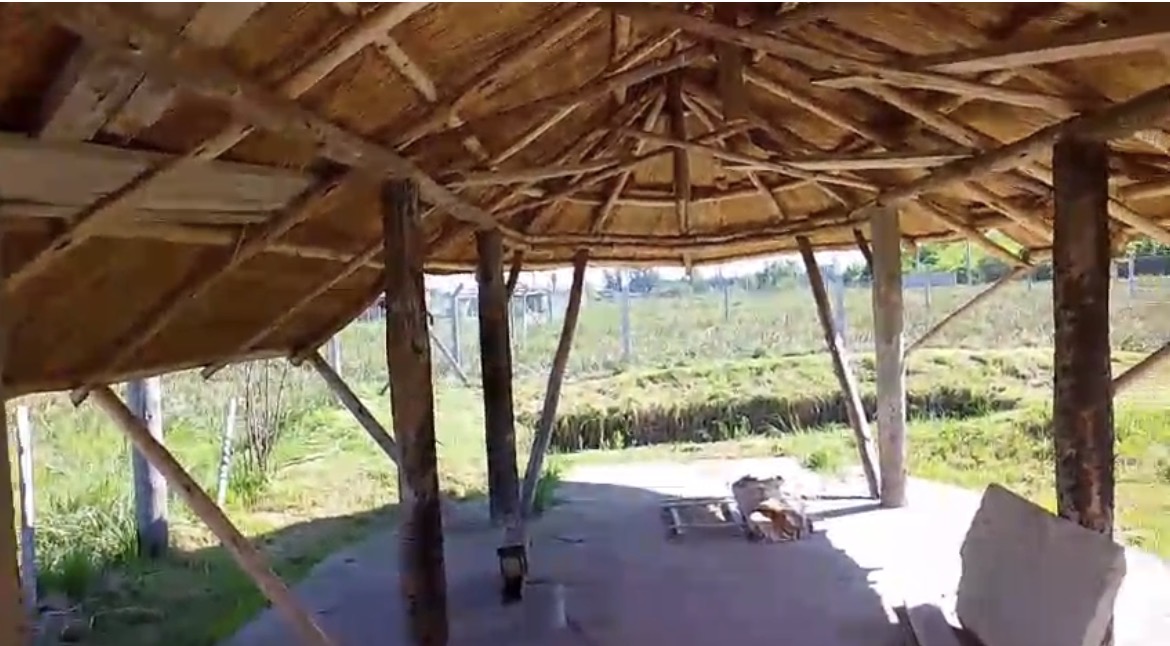 B1716 general Rodriguez , Buenos Aires - Image 7