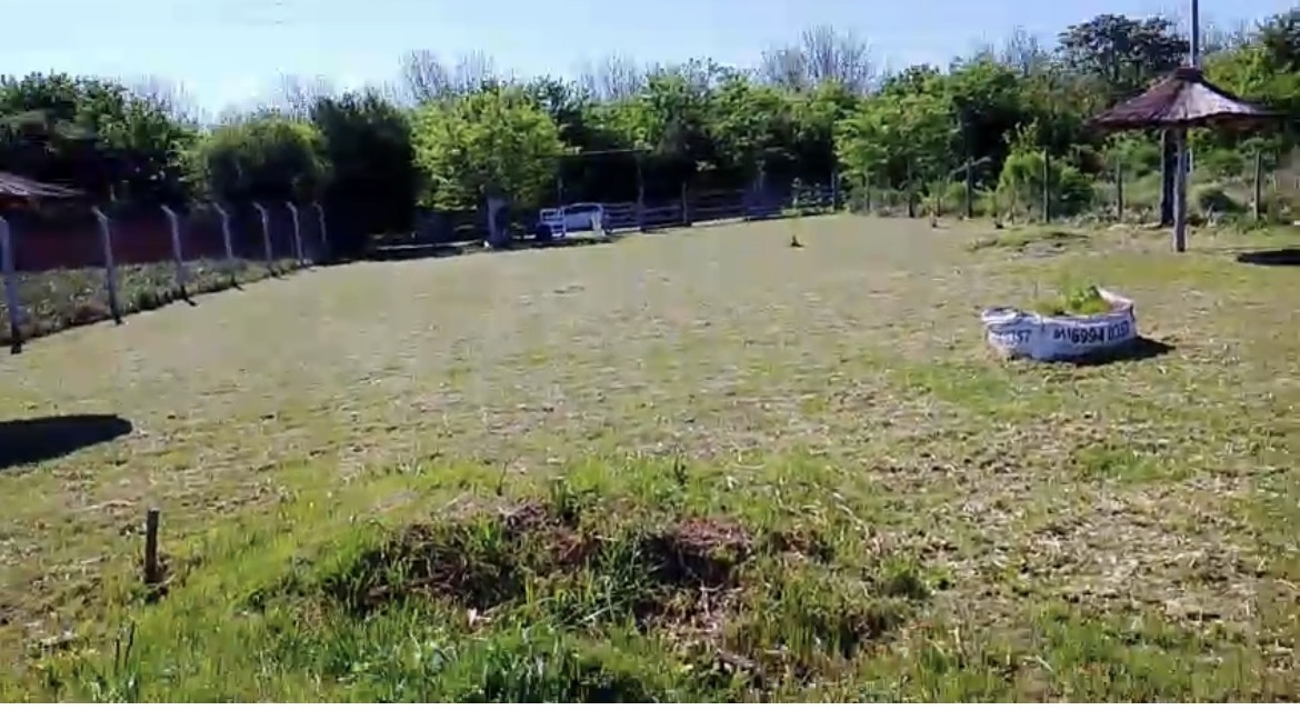 B1716 general Rodriguez , Buenos Aires - Image 8